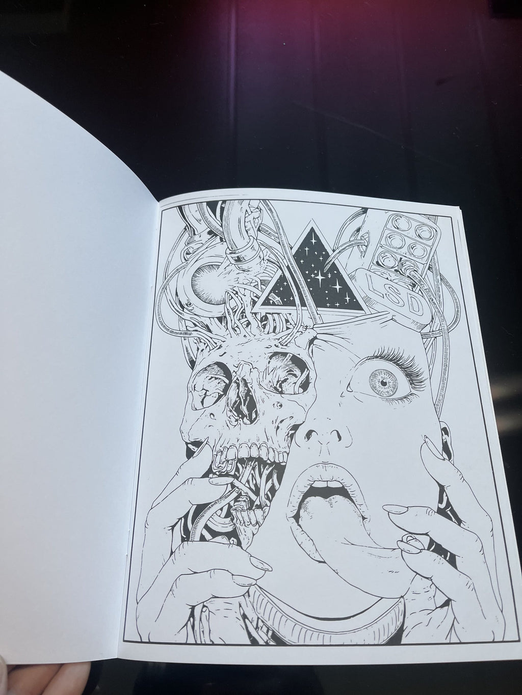 Open book with a detailed black and white illustration of a skull and face.
