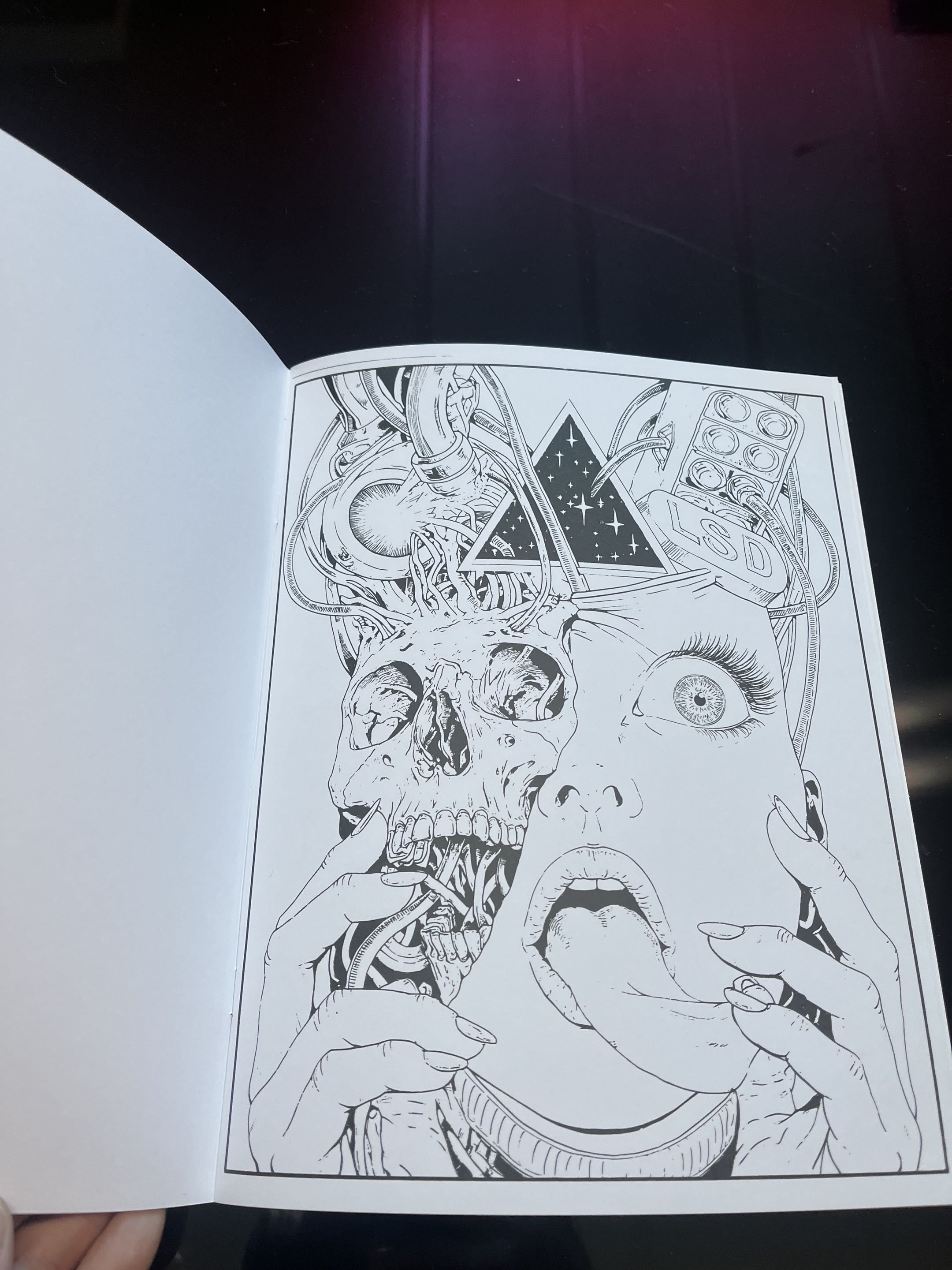 Open book with a detailed black and white illustration of a skull and face.
